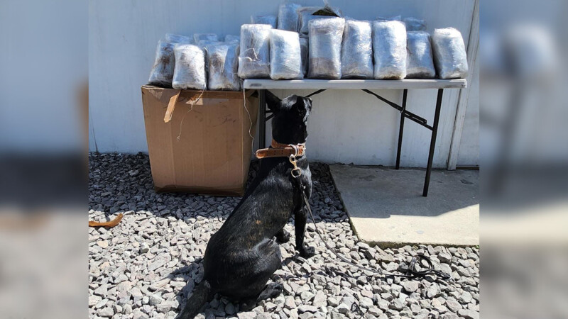 Operativo en empresas de paquetería deja aseguramiento de drogas