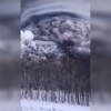 Entra en erupción volcán en Rusia