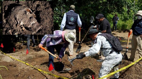 Localizan en Colima decenas de restos humanos en fosas clandestinas