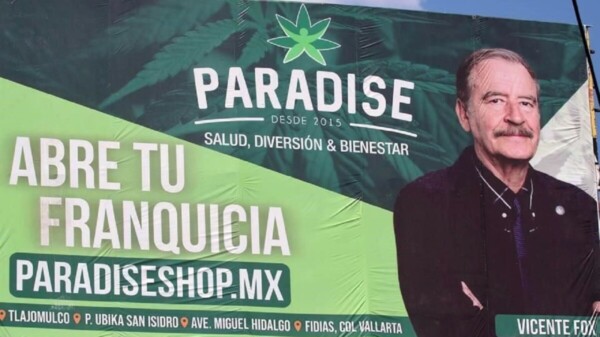 Niega Fox permisos de cannabis; es AMLO “mentiroso vonstitudinario”