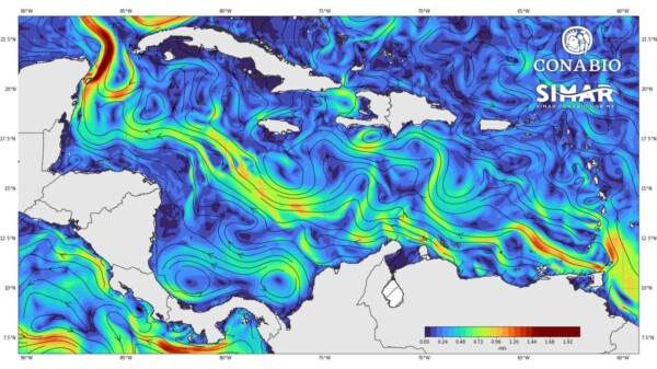 Se dirige a Quintana Roo gigantesca mancha de sargazo.