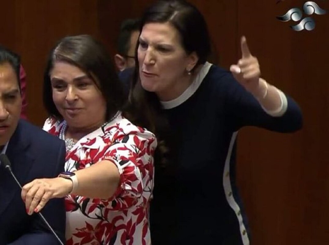 Kenia López Rabadán gritaba e intentaba arrebatar el micrófono al senador de Morena. 