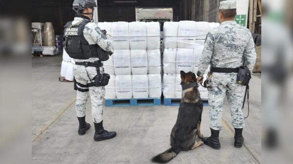 Decomisa la GN 800 litros de metanfetamina líquida en Sinaloa