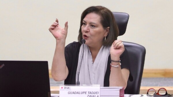 Decide Taddei Zavala renunciar a diversas prestaciones en el INE