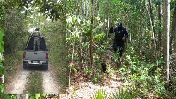 Realizan autoridades en Cancún búsqueda de personas desaparecidas