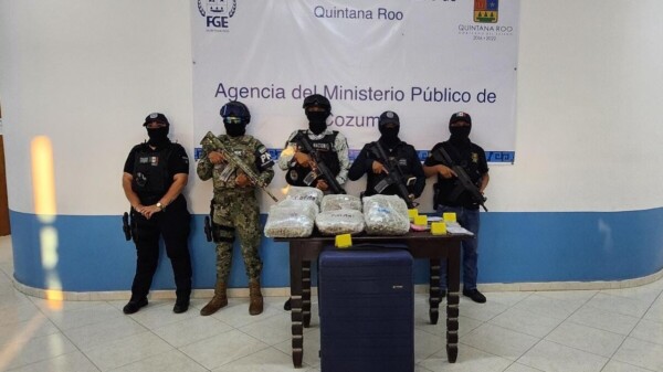 Aseguran diversas drogas durante cuatro cateos en Cozumel.