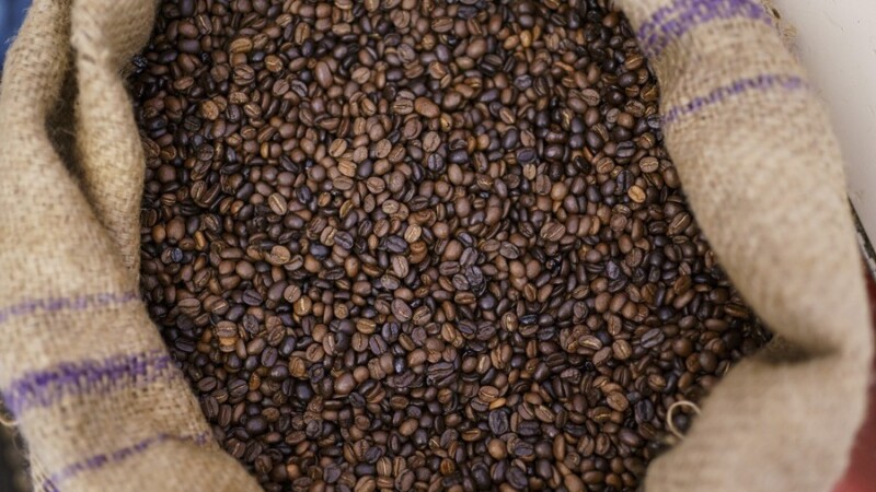 Cambio climático pone en riesgo producción de café en México