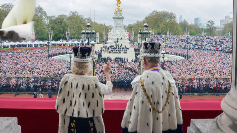 La realeza pasa por encima de las especies; añeja cooperación del armiño
