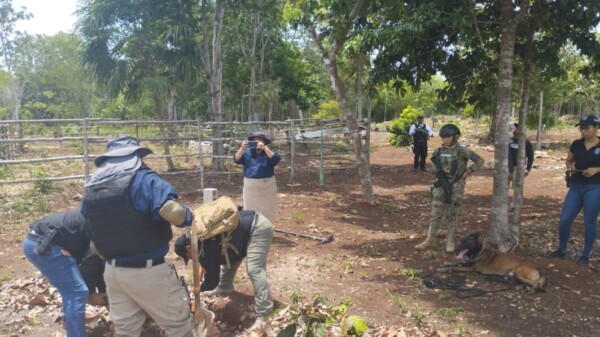 Realiza la Fiscalía de Quintana Roo operativos de búsqueda en Benito Juárez, Isla Mujeres y Othón P. Blanco