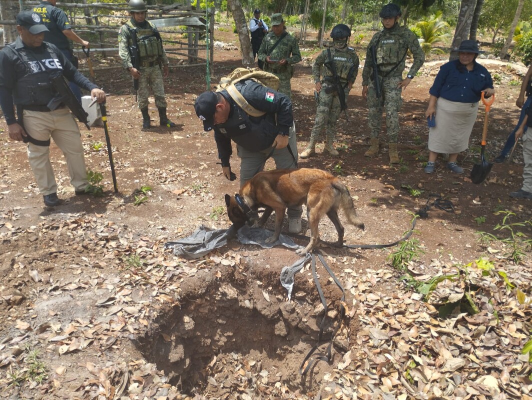 Estas acciones se realizan a través de Fiscalía Especializada en Desaparición Forzada de Personas y Desaparición Cometida por Particulares.
