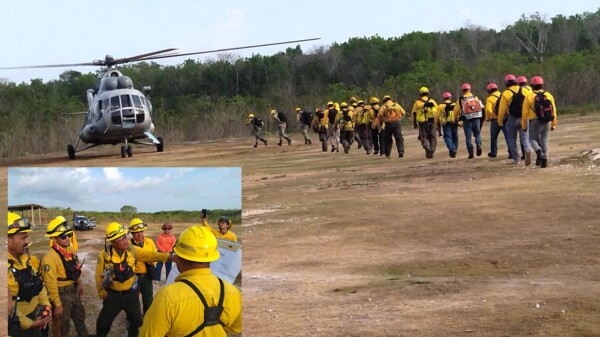 El EEMI logra contener 22 incendios forestales en Quintana Roo