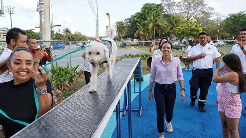 Afianza gobierno de Ana Paty Peralta cuidado de las mascotas, el lanzamiento oficial del Padrón Municipal de Mascotas Domésticas