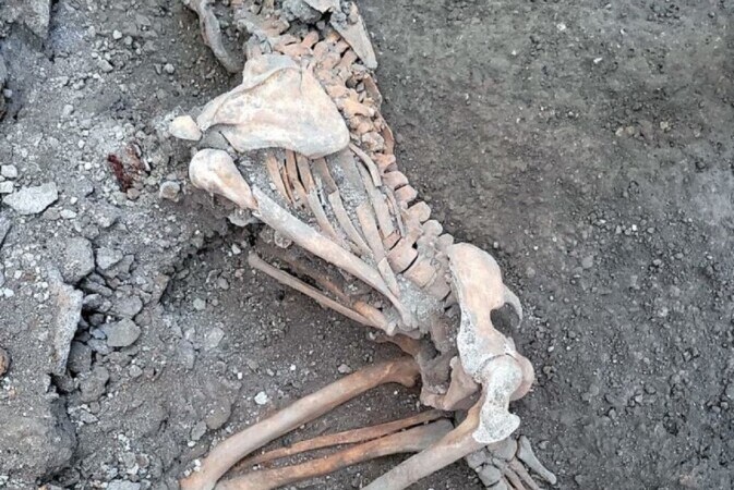 Descubren dos nuevos cuerpos en Pompeya
