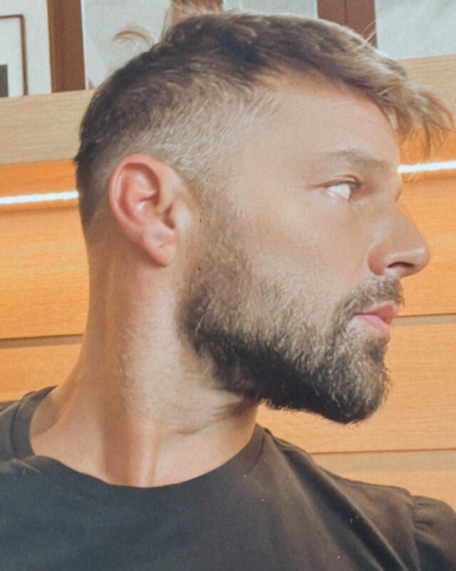 ¿Ricky Martin aceptó haber estado con su sobrino?