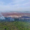Liquidado al 55% el incendio forestal en San José, Lázaro Cárdenas