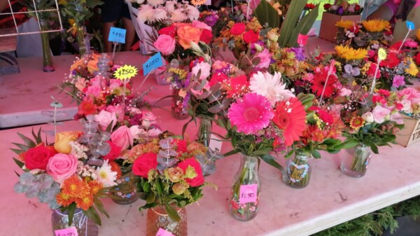 Día de las Madres: Entre la alegría y la nostalgia