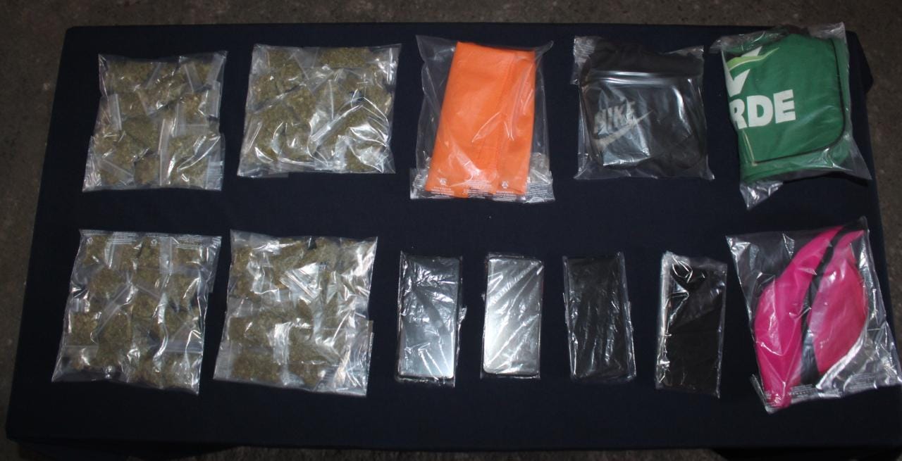 Más de 31 mil dosis de drogas fueron decomisadas en acciones contra el narcomenudeo en Quintana Roo; se actúa contra grupos criminales.