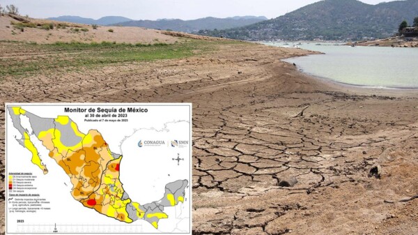 Sequía afecta a casi la mitad de municipios de México