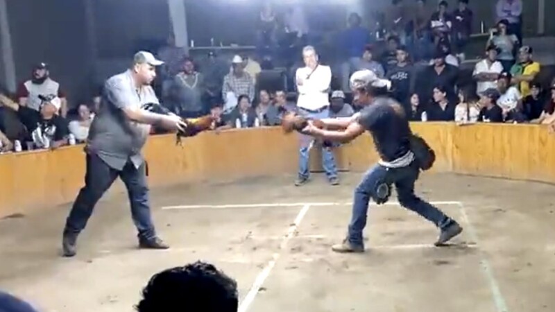 Balacera en pelea de gallos en Guanajuato deja tres muertos