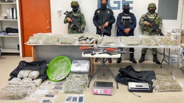 Decomisan droga, armas, cartuchos y vehículos en dos cateos en Playa del Carmen.