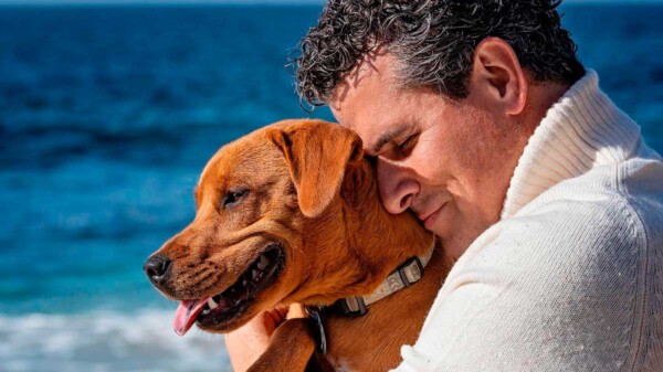 Critican a Marco Antonio Regil por dar en adopción a su perrita