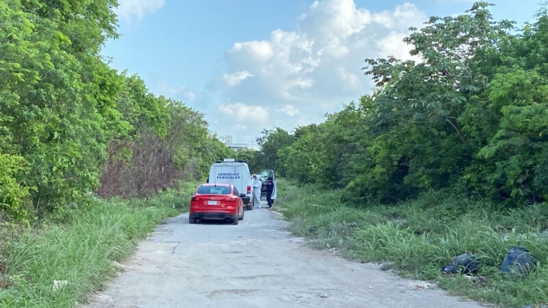 Encuentran el cuerpo sin vida de una persona en la SM 206 de Cancún
