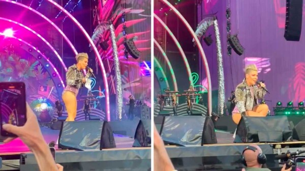 Fan lanza cenizas de su madre a Pink en concierto