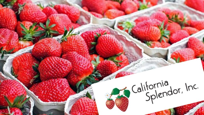 "Congela" EEUU consumo de fresas congeladas mexicanas