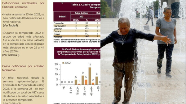 Registros de casi 50 grados por el calor