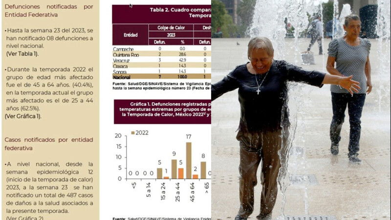 Registros de casi 50 grados por el calor
