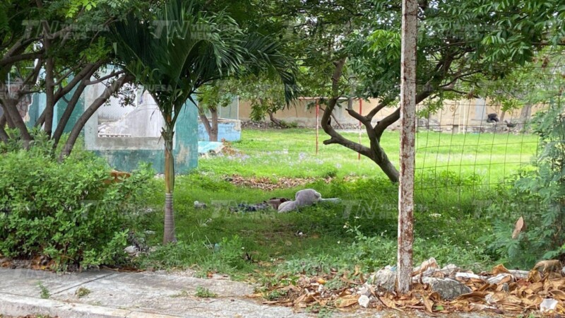 Hallan muerta a una persona en un parque de la Supermanzana 64 de Cancún.