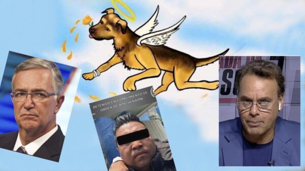 Famoso quiere pagar para que "se encarguen" en la cárcel de asesino de perrito