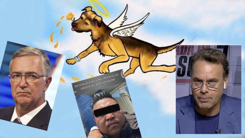 Famoso quiere pagar para que "se encarguen" en la cárcel de asesino de perrito