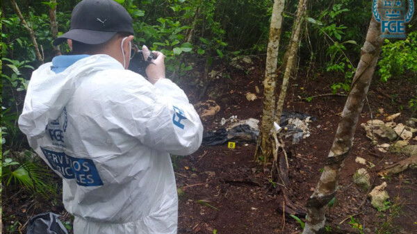 Hallan siete osamentas en el municipio de José María Morelos