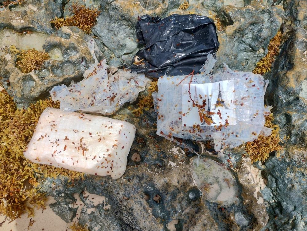 Recalan dos paquetes de cocaína en la zona de playas de Tulum; fueron hallados por personal de la Guardia Nacional que realizaba recorridos.
