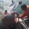 Rescatan marinos rescatan a cinco personas en la bahía de Chetumal