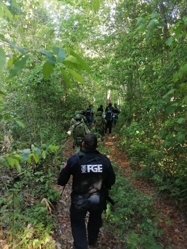 Hallan restos óseos en zona selvática de José María Morelos; las diligencias se llevan a cabo con el apoyo de binomios caninos.