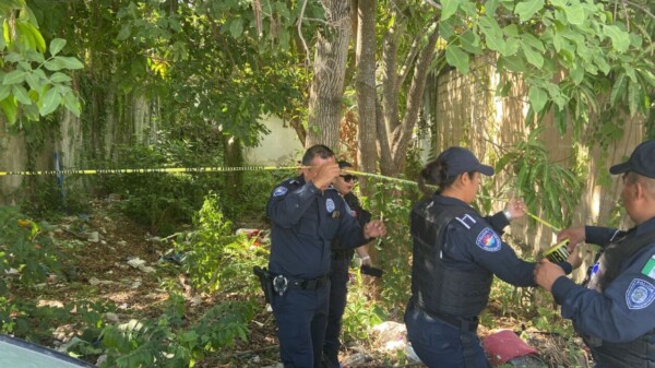 Hallan cuerpos de dos jóvenes ejecutados en El Pedregal.