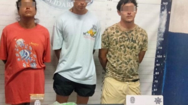 Decomisan 480 dosis de narcóticos y detienen a seis en Playa del Carmen