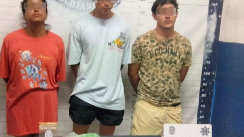 Decomisan 480 dosis de narcóticos y detienen a seis en Playa del Carmen