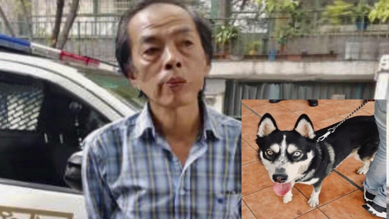 Detienen a asiático en CDMX por golpear a un perrito