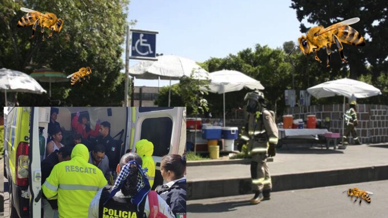 Abejas atacan a personas en IMSS de Morelia, hay 18 afectados