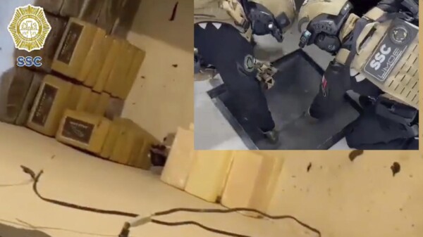 Descubren bodega con mas de 200 kilos de cocaína en CDMX