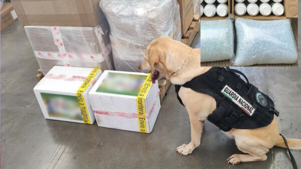 Incautan mas de 200 mil pastillas de fentanilo en paquetería de Sinaloa