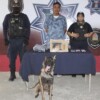 Cae presunto pistolero en Cancún
