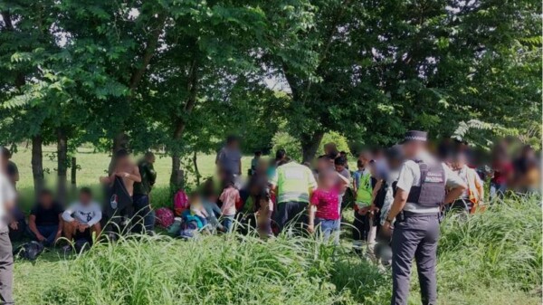 Rescatan a 256 migrantes abandonados por ‘polleros’ en Veracruz