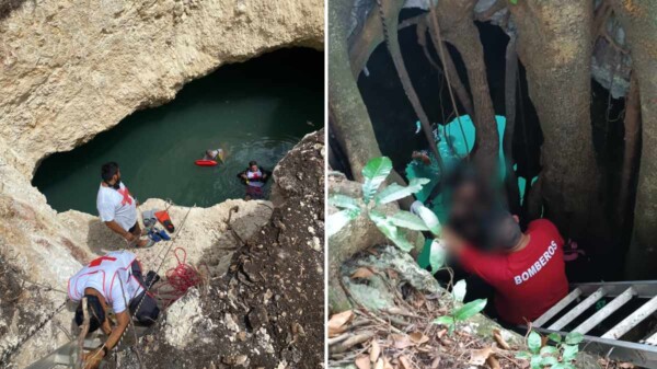 Delito ambiental culmina en una tragedia en vivero de Leona Vicario