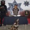 Detienen a presunto narcomenudista en terminal de autobuses en Cancún