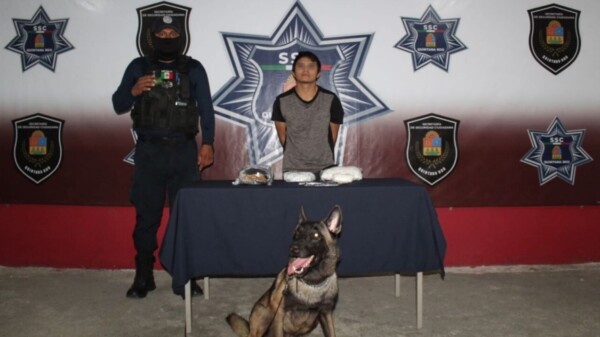 Detienen a presunto narcomenudista en terminal de autobuses en Cancún