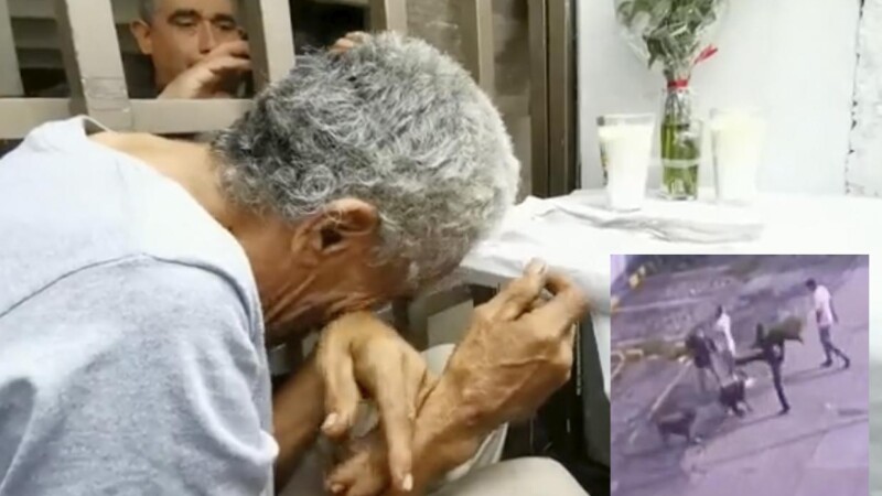 Llora abuelito a su fiel perrito que murió defendiéndolo de un asalto, pide justicia